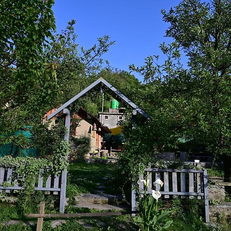 Himalayan Mud Resort Kasol Eksteriør billede