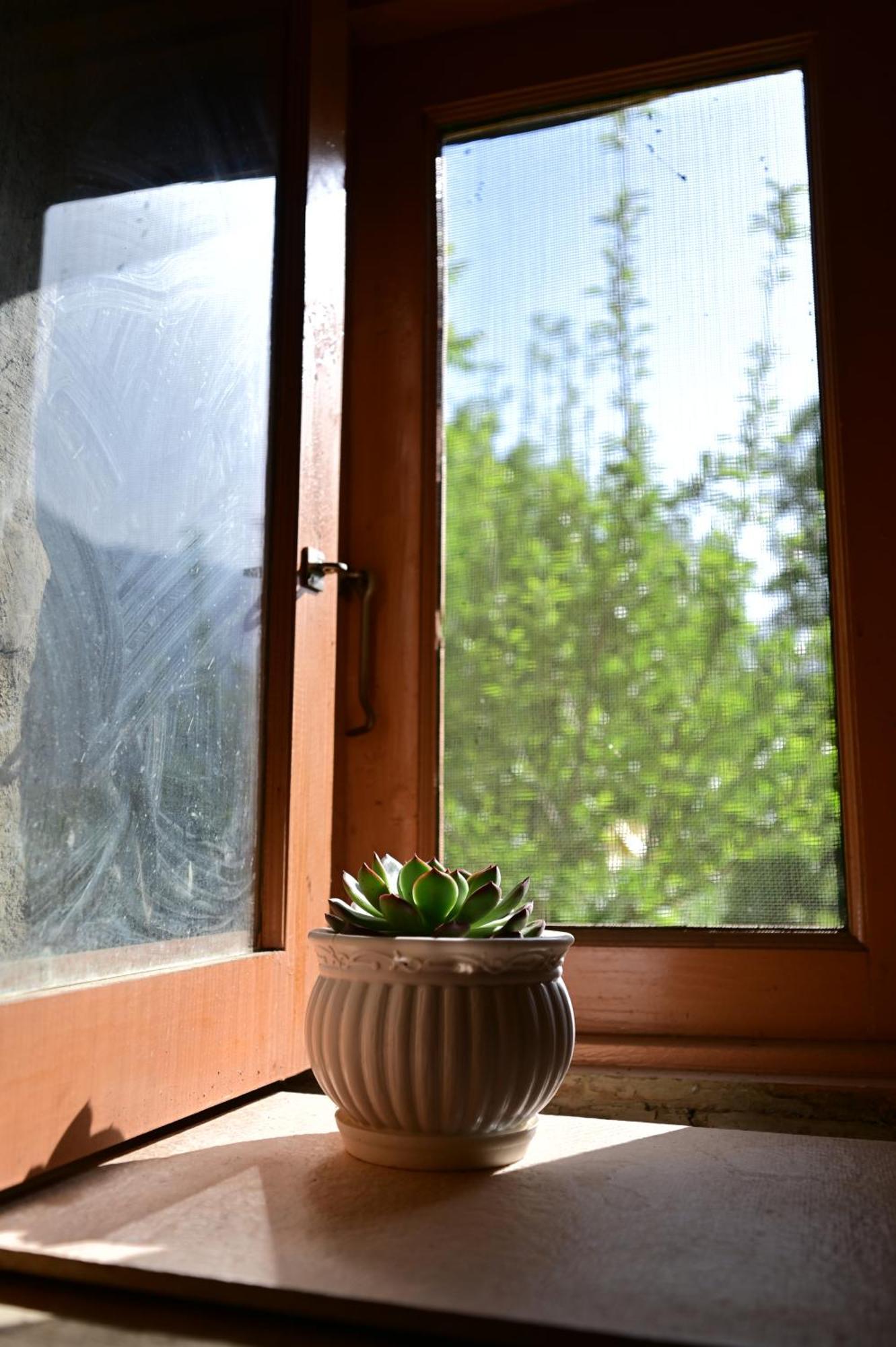 Himalayan Mud Resort Kasol Eksteriør billede